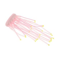  Accessoires Pour Aquarium