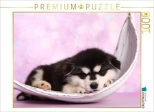 CALVENDO Puzzle Alaskan