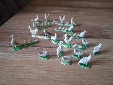 Lot , Starlux , Singapore