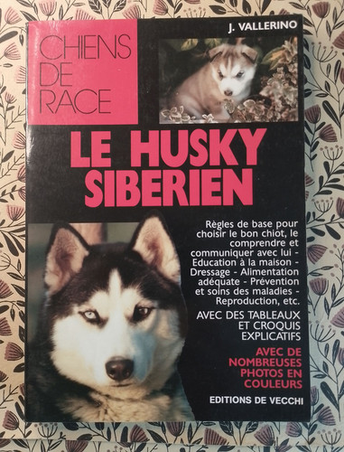 Husky sibérien j - le,