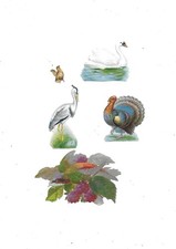 Chromos anciens découpis fin