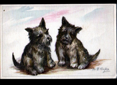Chien chiot illustré par - chiot,,,,