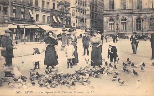 Cpa lyon les - cpa, pigeons