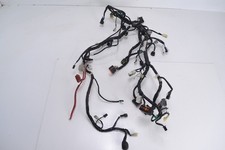 Faisceau de câblage principal