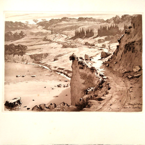 étang olivier anse - Étang, l'olivier