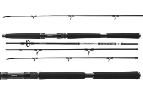 Canne voyage daiwa bg - de,