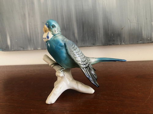 Perruche bleue porcelaine - en,