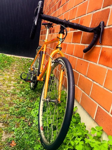 Wheeler 1800 mtb custom - custom, gravel