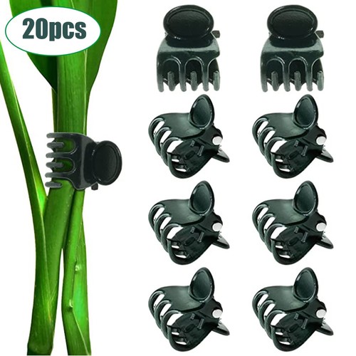 Clips support plante - support,