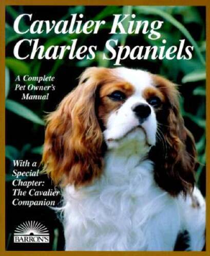 Cavalier king charles spaniel - cavalier,