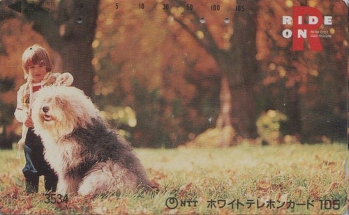 Télécarte japon 11 - télécarte,