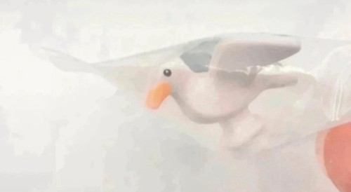 Lego animaux city la mouette - lego,