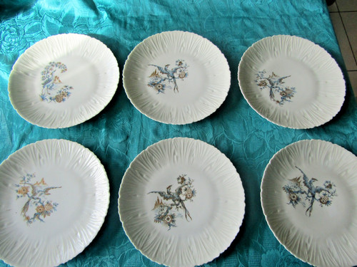 Assiettes plates porcelaine - 6,