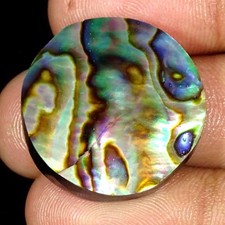 Cabochon De Coquillage Abalone