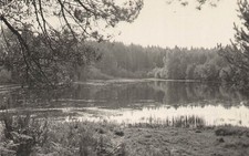 19 LAMAZIERE BASSE ETANG DES