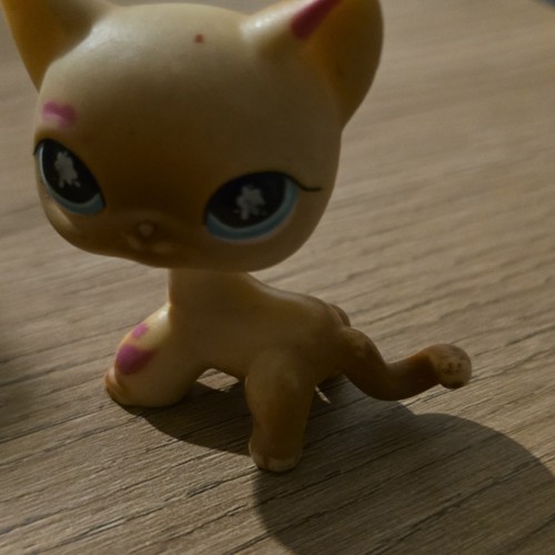 Pet sop 816 - pet,