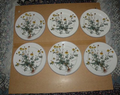 Lot assiettes botanica - 6,