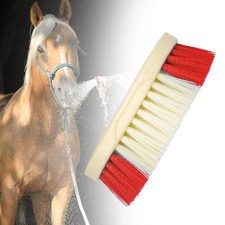 Brosse de nettoyage en crin de