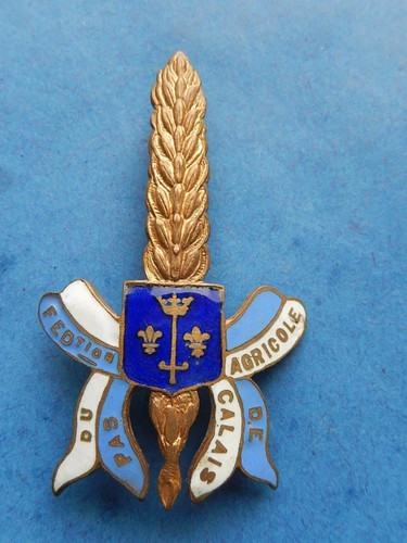 Insigne émaillé federation