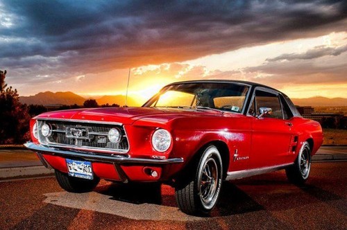 Premium art mustang fastback - premium,