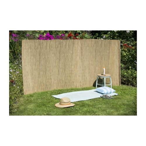 Canisse carex naturel - carex,