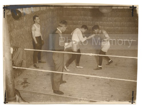 Boxe pladner routis au - boxe,