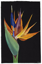 Oiseau de paradis  original