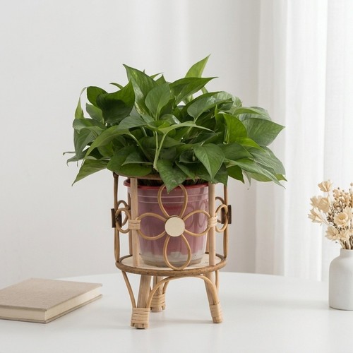 Support plante rotin - support,