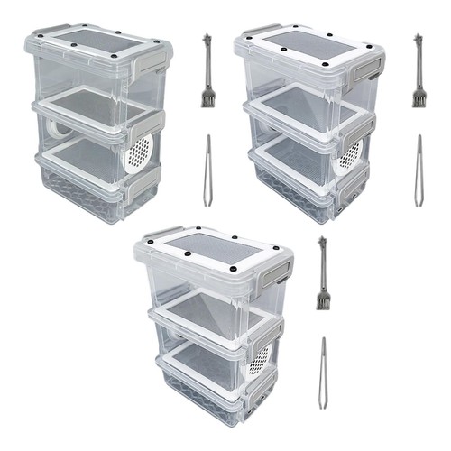 Boîte élevage grillons - de,