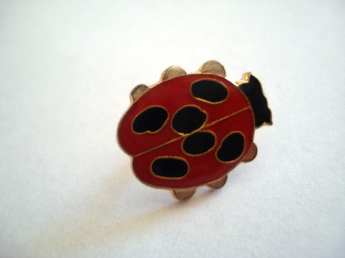 Pins coccinelle insecte - coccinelle,