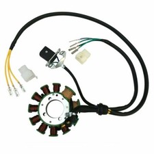  Lifan 200C 250cc Vertical Engine Magneto Stator 11 Coil  For Pitpro Dirt Bike