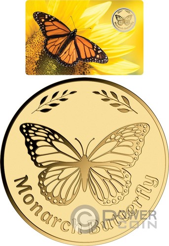 Monarch butterfly butterflies - monarch,