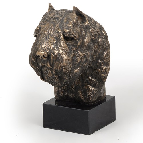Bouvier des flandres tête sur - des,