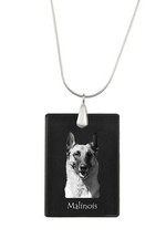 Malinois Berger Belge -