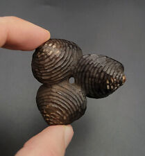 Netsuke - Trois palourdes