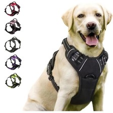 Harnais Chien Grand Taille Poignée Ergonomique Attache Rapide Contrôle Facile