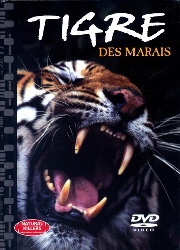 Dvd digipack tigre des - digipack,