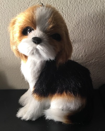 Collectible beagle puppy dog - beagle,
