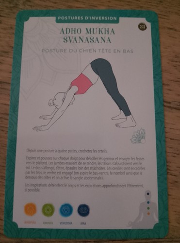 Fiche yoga adho mukha - n°33,