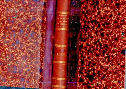 Livre rare bulletin societe - livre,