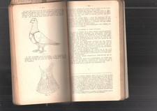 LIVRE ancien militaria l'eleve