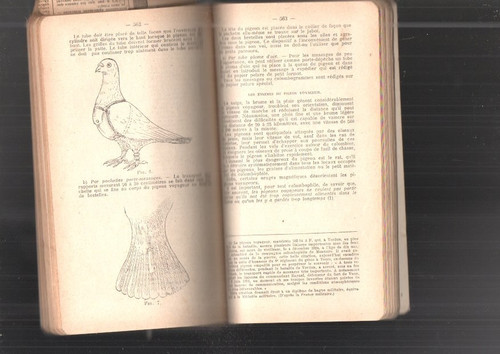 Livre ancien militaria eleve - livre,