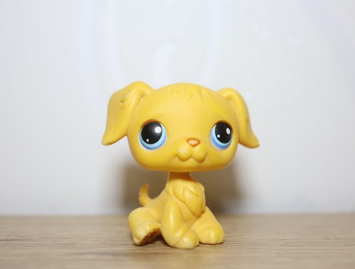 Littlest petshop golden - littlest,