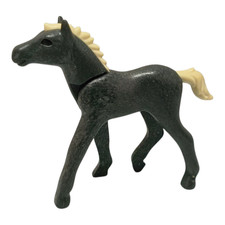 sympa poulain / cheval