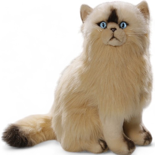 Carl dick chat - carl,