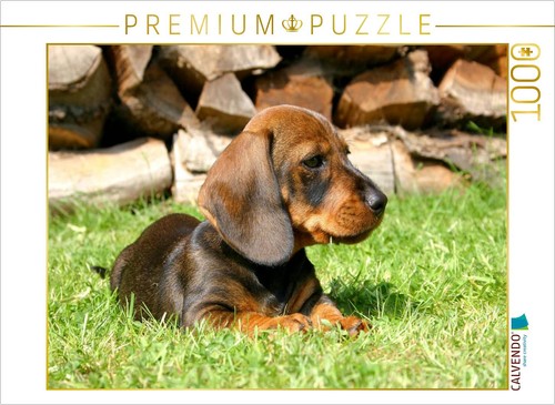 Puzzle calvendo chiot teckel - calvendo,