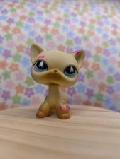 Littlest Petshop Pet Shop Lps Chat Européen 816