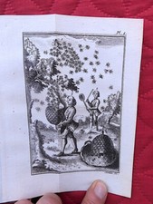 APICULTURE Gouvernement