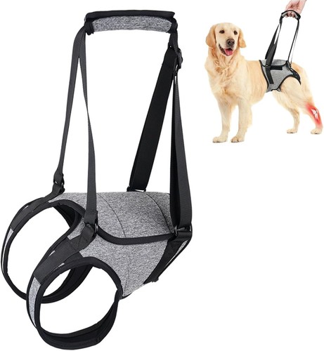 Harnais levage chien - harnais,