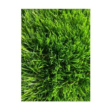 Artificiel Pelouse Tapis Gazon Vert Fibre Synthétique Terrasse Balcon Outdoor 2m